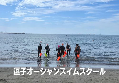 逗子オーシャンスイムスクール 〜海と日本PROJECT〜（2021年10月）のお申込み受付を開始！