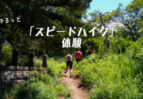 逗子ゆるっと“スピードハイク”体験（2021年12月11日開催）