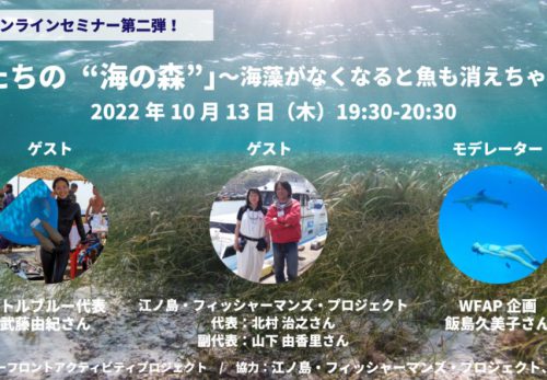 【無料オンラインセミナー】「海藻たちの“海の森”」〜海藻がなくなると魚も消えちゃうの？〜